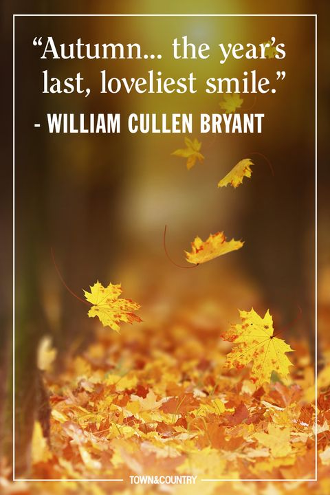 25+ Inspiring Fall Quotes - Best Quotes and Sayings About Autumn