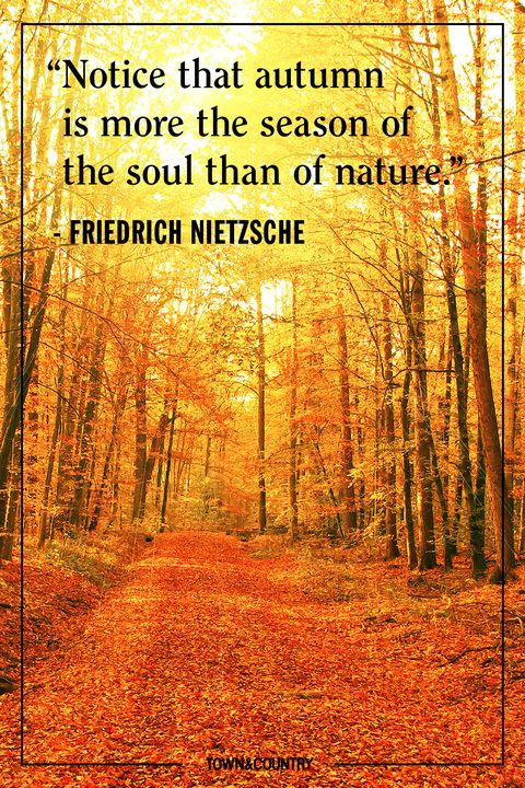 25+ Inspiring Fall Quotes - Best Quotes and Sayings About Autumn