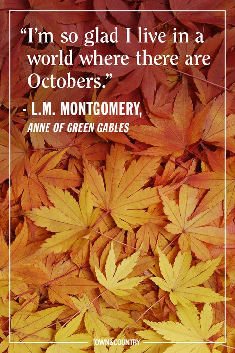 12 Inspiring Fall Quotes - Best Quotes and Sayings About Autumn