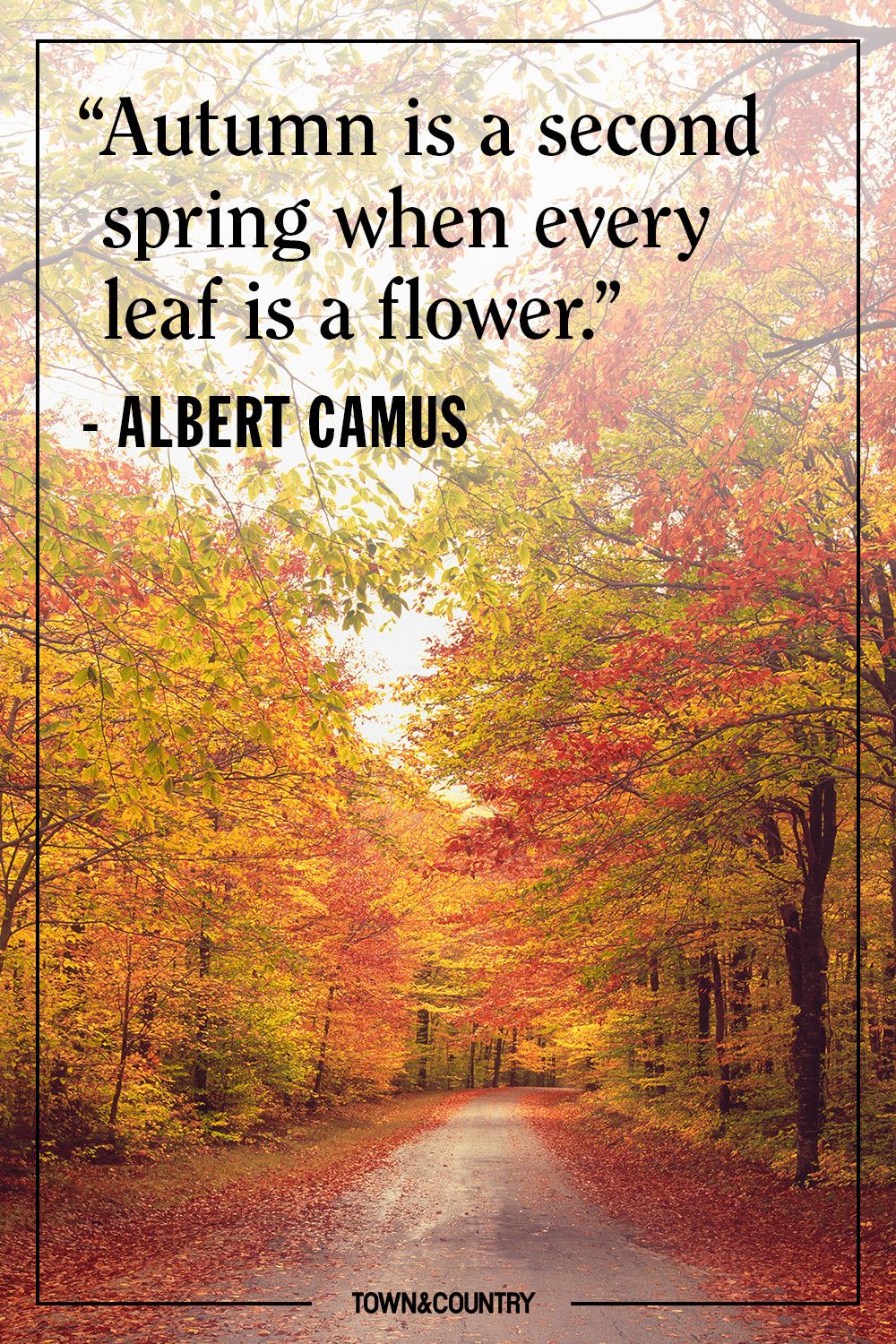 15 Inspiring Fall Quotes Best Quotes And Sayings About Autumn