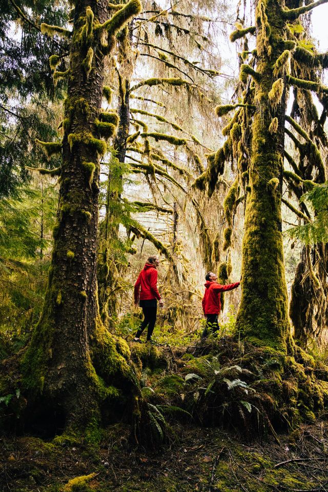 hikers at the  nimmo bay wilderness lodge, great bear rainforest, british columbia nature travel