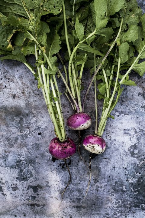 high angle close up of a bunch of freshly picked pink turnips on grey background