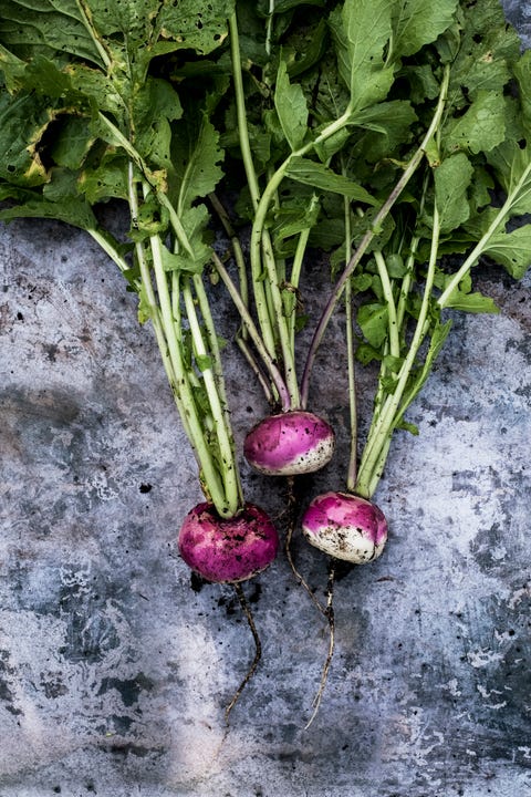 High angle close up of a bunch of freshly picked pink turnips on grey background. high angle close up of a bunch of freshly picked pink turnips on grey background