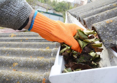 Rain Gutter Cleaning from Leaves in Autumn with hand. Roof Gutter Cleaning Tips. Clean Your Gutters Before They Clean Out Your Wallet. Gutter Cleaning.