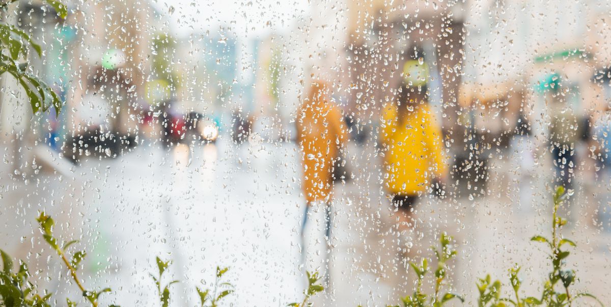 Does rain help with allergies or make them worse?  Explain to the doctors