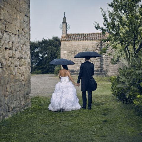 This tool will calculate the chance of rain on your wedding day