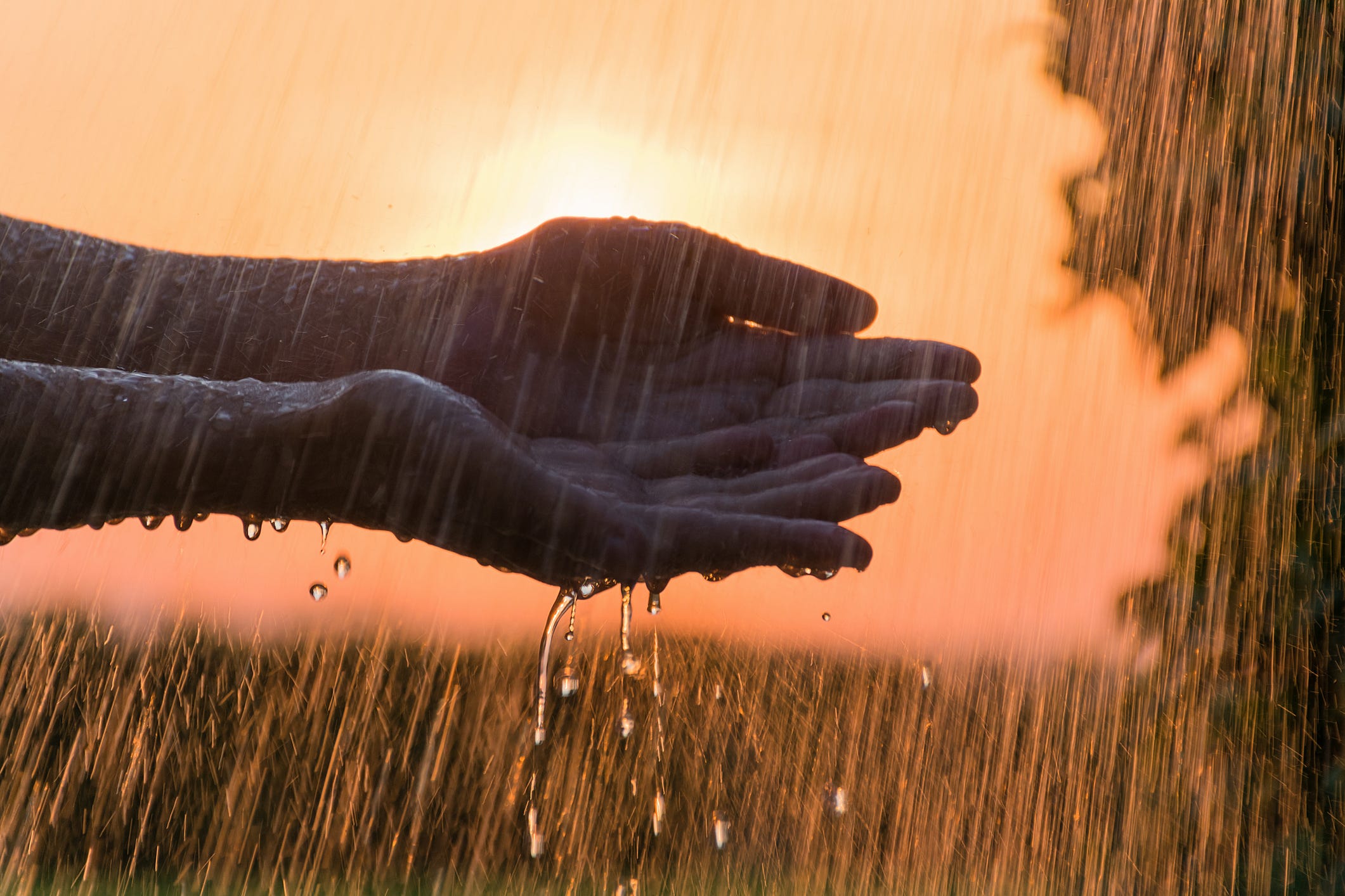 We Might Only Exist Thanks to Ancient Rainfall