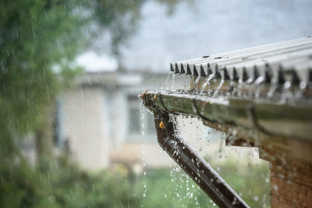 Rainwater harvesting is Pinterest&#039;s gardening craze for 2023 &mdash; here&#039;s how to do it