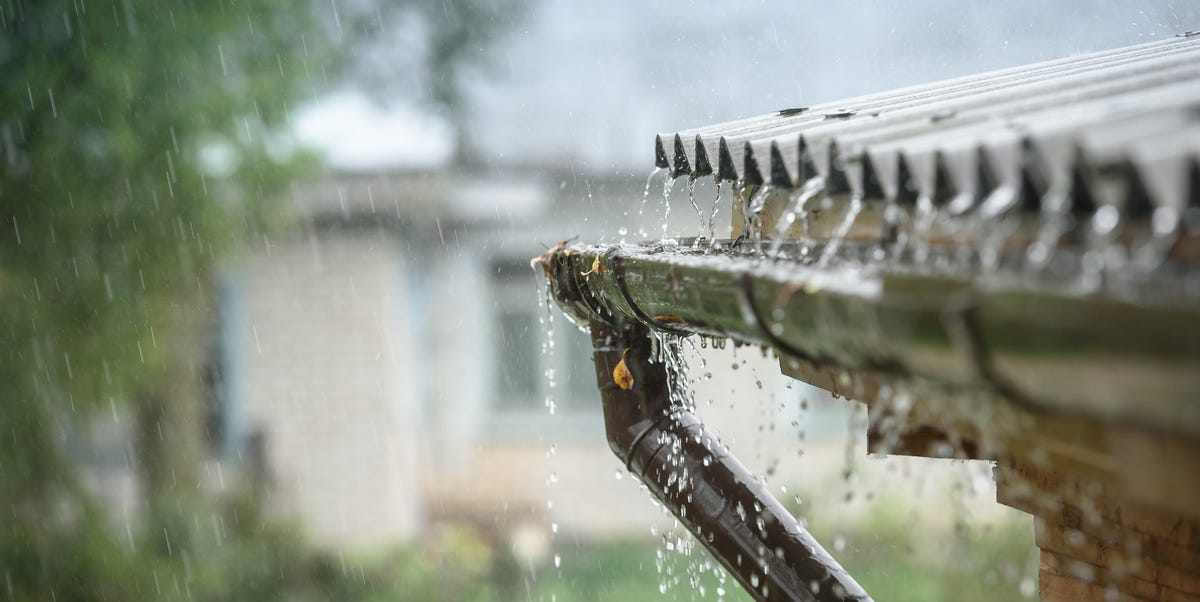 Rainwater harvesting is Pinterest's gardening craze for 2023 — here's how to do it