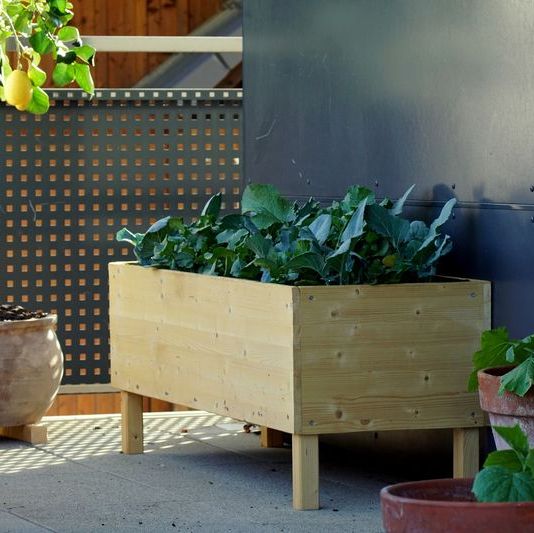 15 Inexpensive Raised Garden Bed Ideas