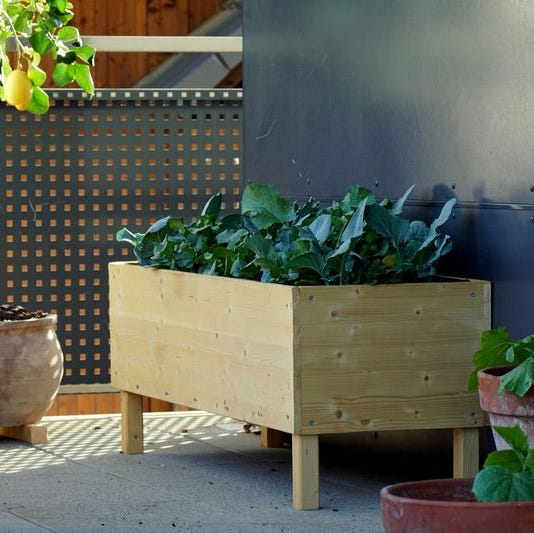 raised garden bed ideas