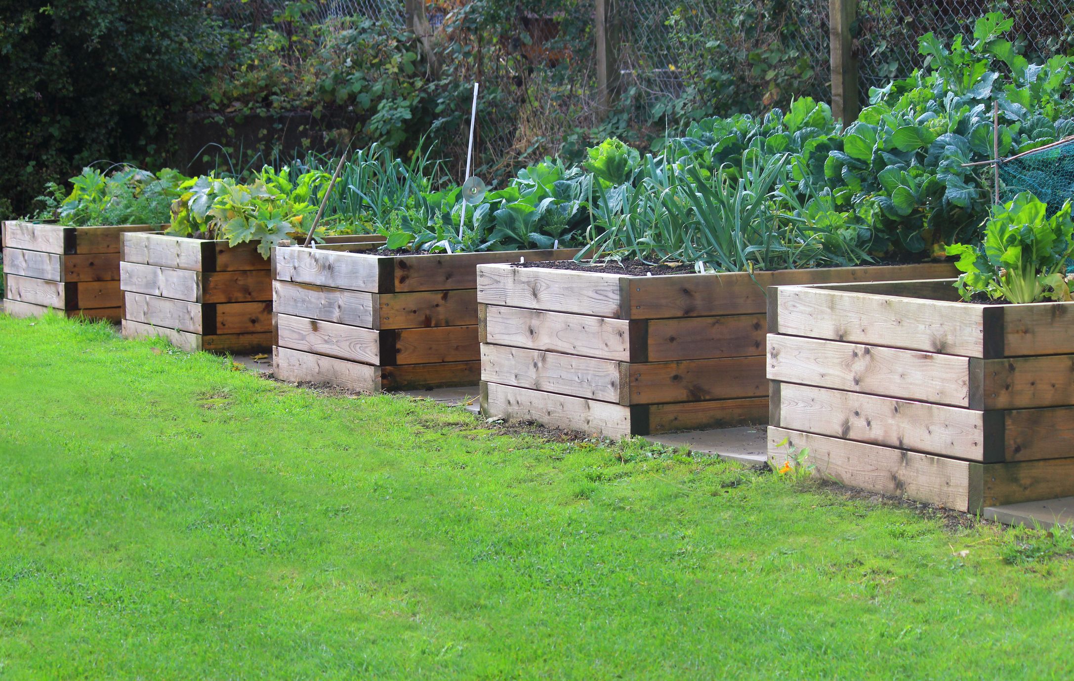 How To Build A Raised Garden Bed Diy Raised Bed Instructions