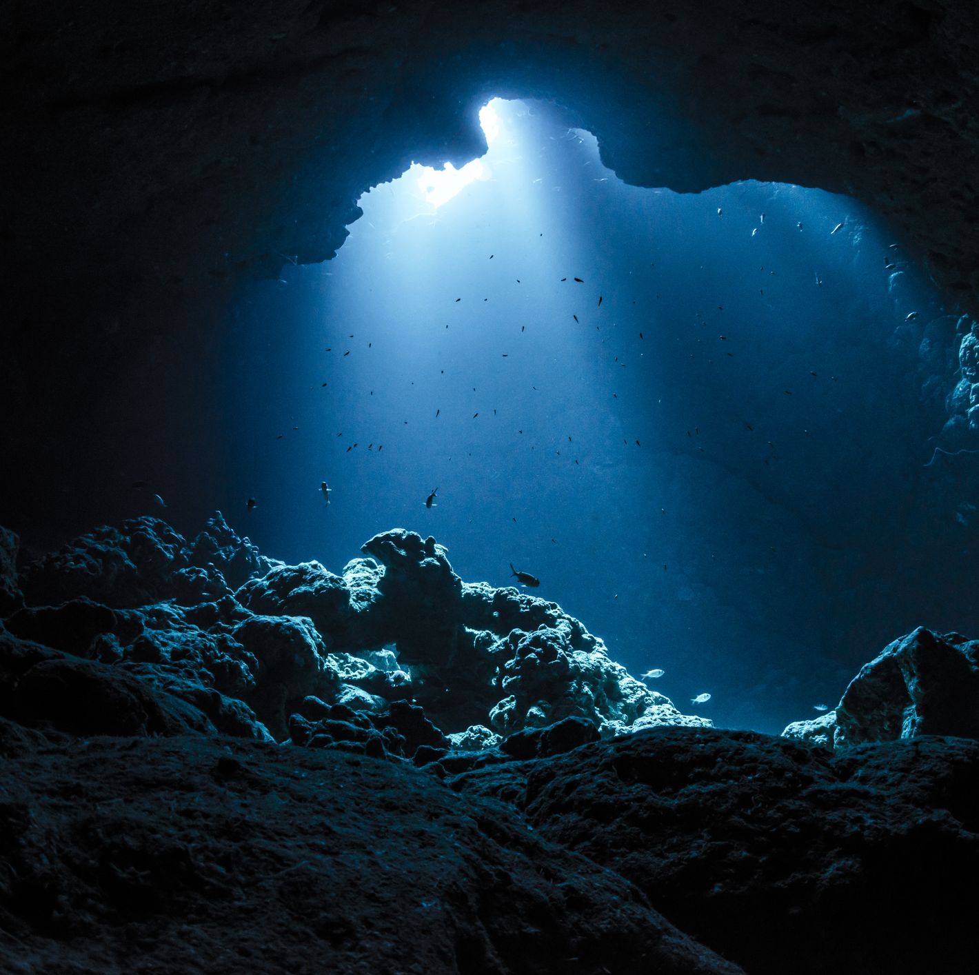 Why the Deepest Part of the Ocean Is Practically an Alien Planet