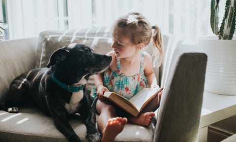 Gratis Verhalen Voor Thuiszittende Kinderen Van Nul Tot Tien Jaar