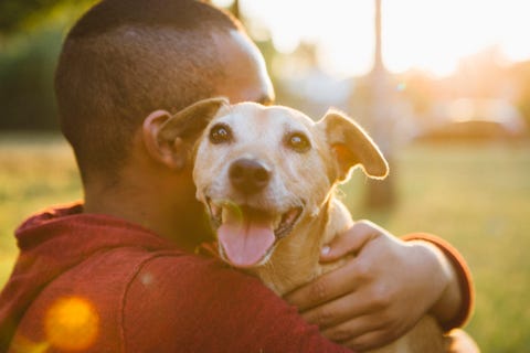 rear view of a young man hug his small dog