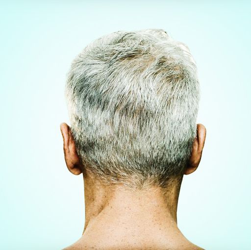Why Our Hair Turns Gray—And How Scientists Could Reverse the Process for Good