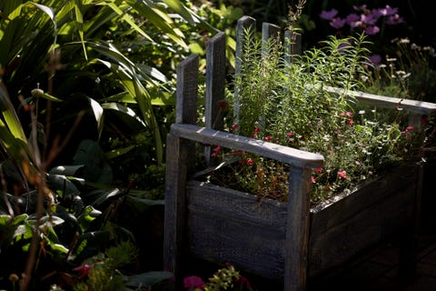 Reclaimed garden bench used as summer planter