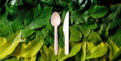 recyclable wooden knife and fork on background made of green leaves