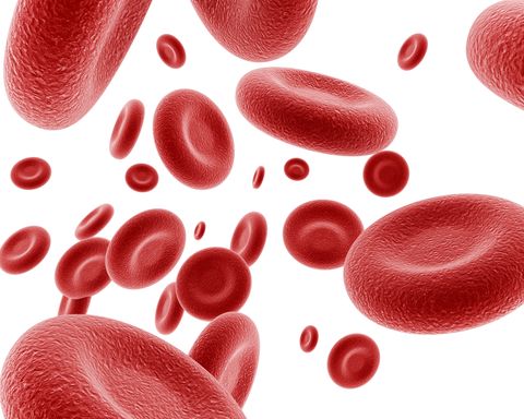red blood cells, artwork