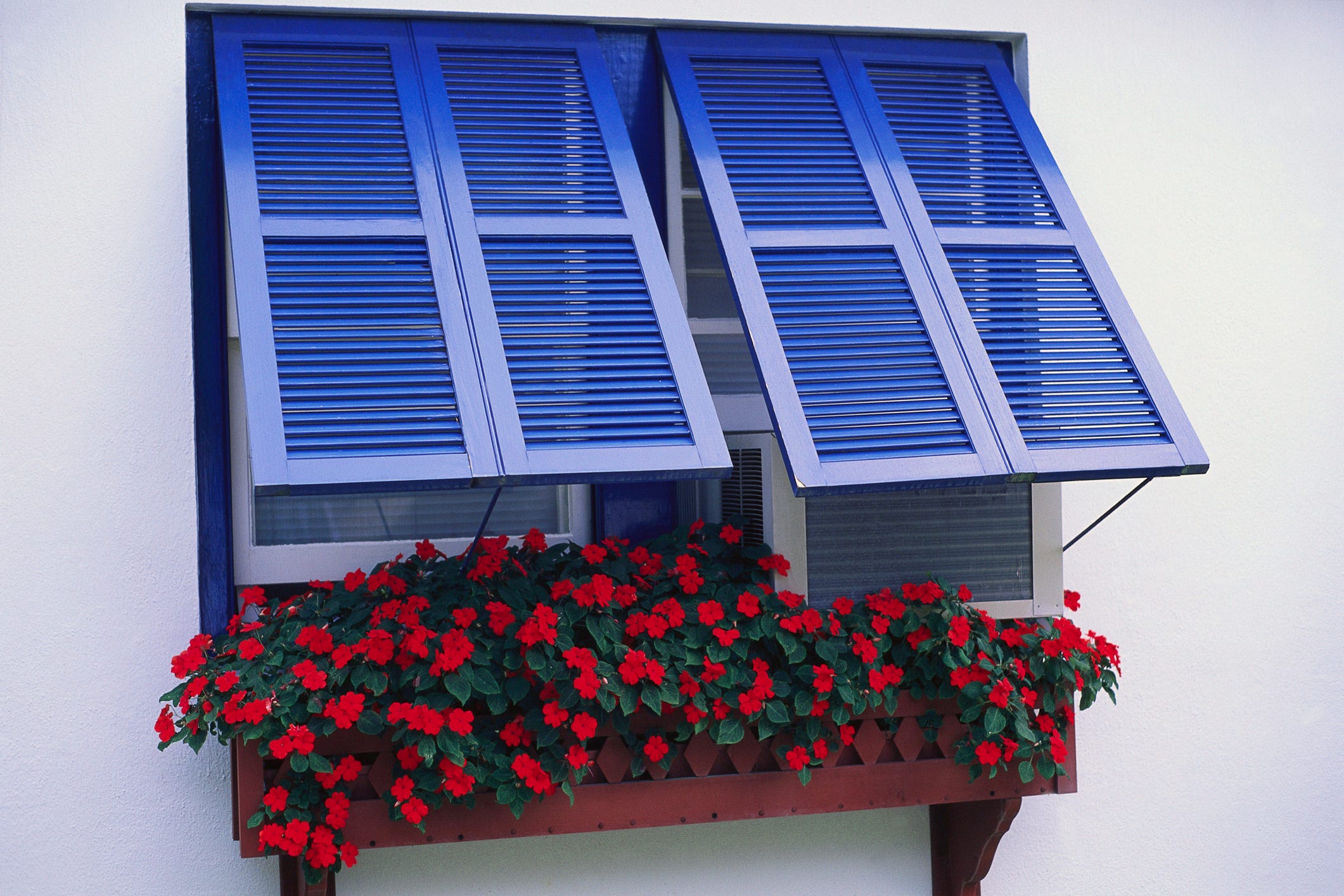 Late-Summer Window Boxes