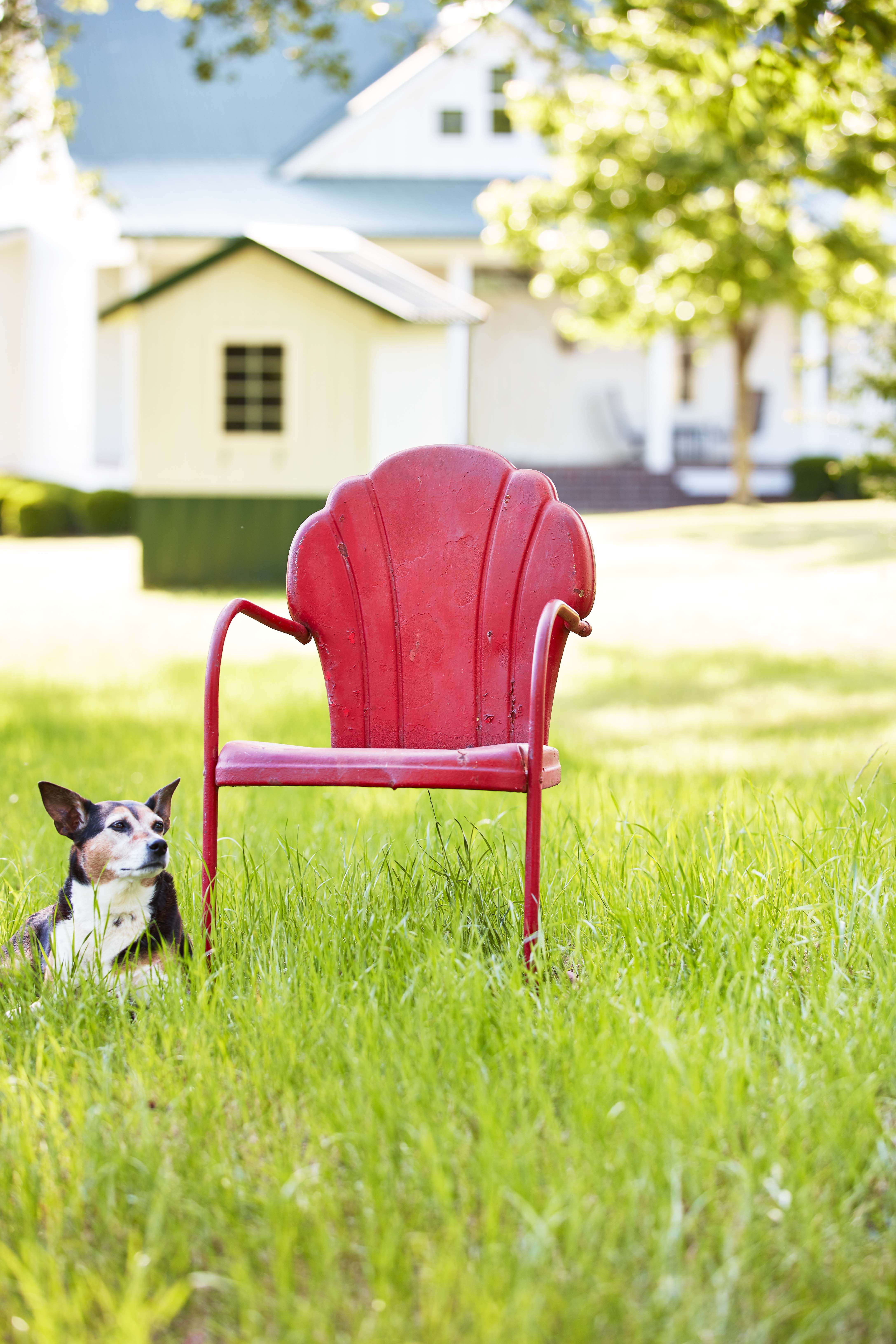 retro lawn chairs