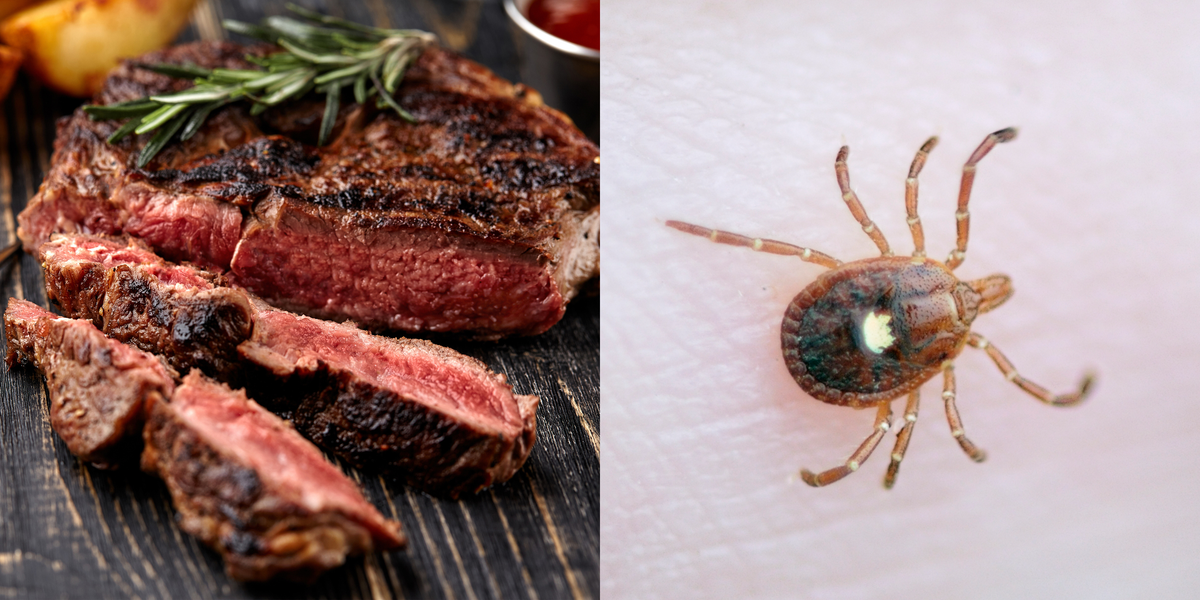 What Is Alpha-Gal Allergy? - Red Meat Allergy Symptoms from Ticks