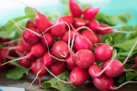 Red Radishes 