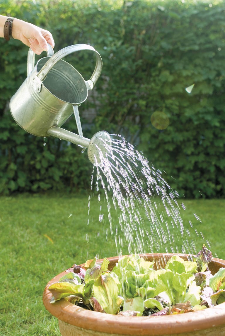 Ahorro de agua Ahorrar agua en casa y en la factura de la luz con estos sencillos trucos.