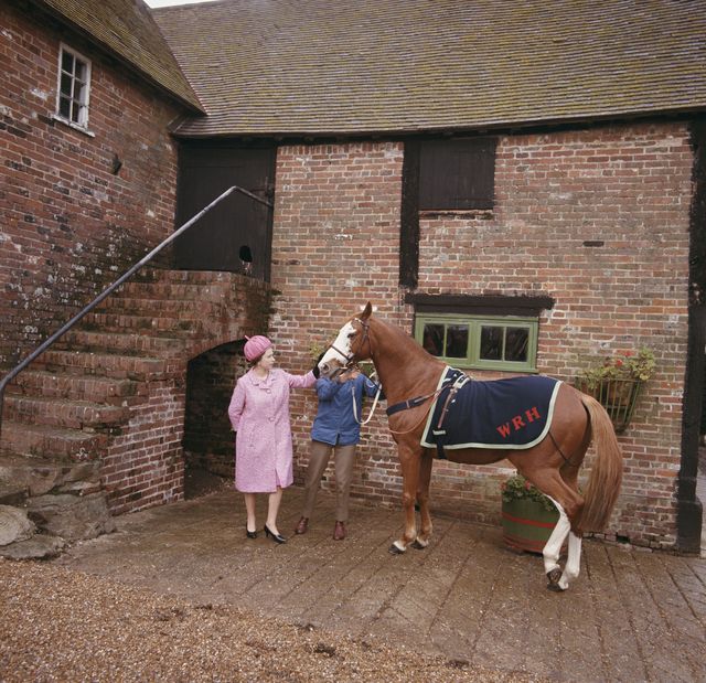 queen elizabeth ii at rye in sussex, with racehorse augustine, which used to belong to her, 28th october 1966 photo by fox photoshulton archivegetty images