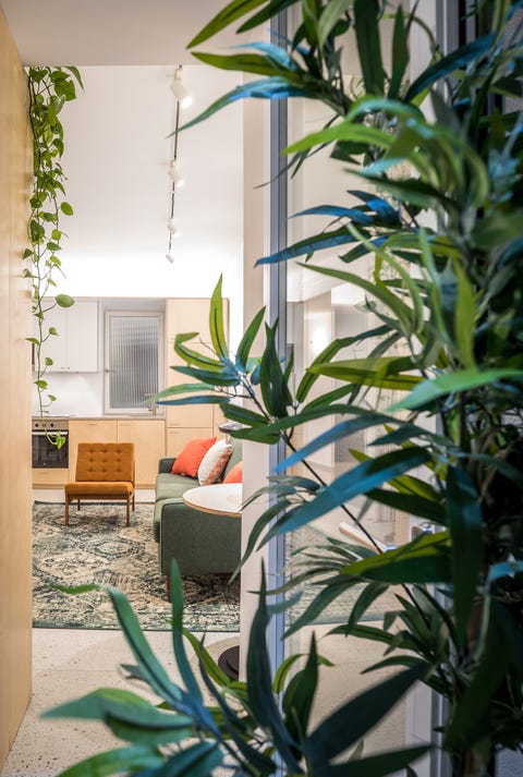 Dos modernos apartamentos en el sótano - Casas reformadas