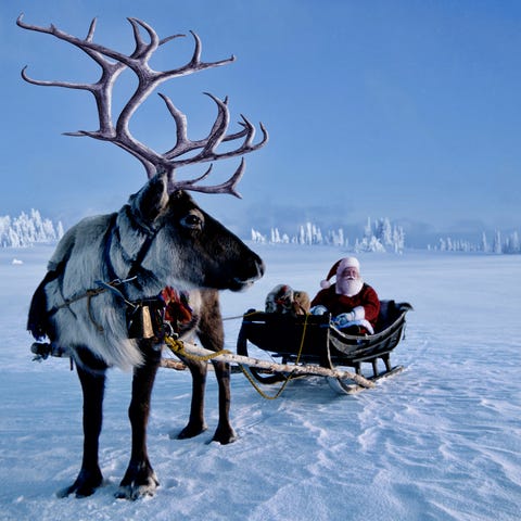 25 Funny Reindeer Jokes Best Christmas Reindeer Jokes And Puns 25 Funny Reindeer Jokes Best Christmas Reindeer Jokes And Puns
