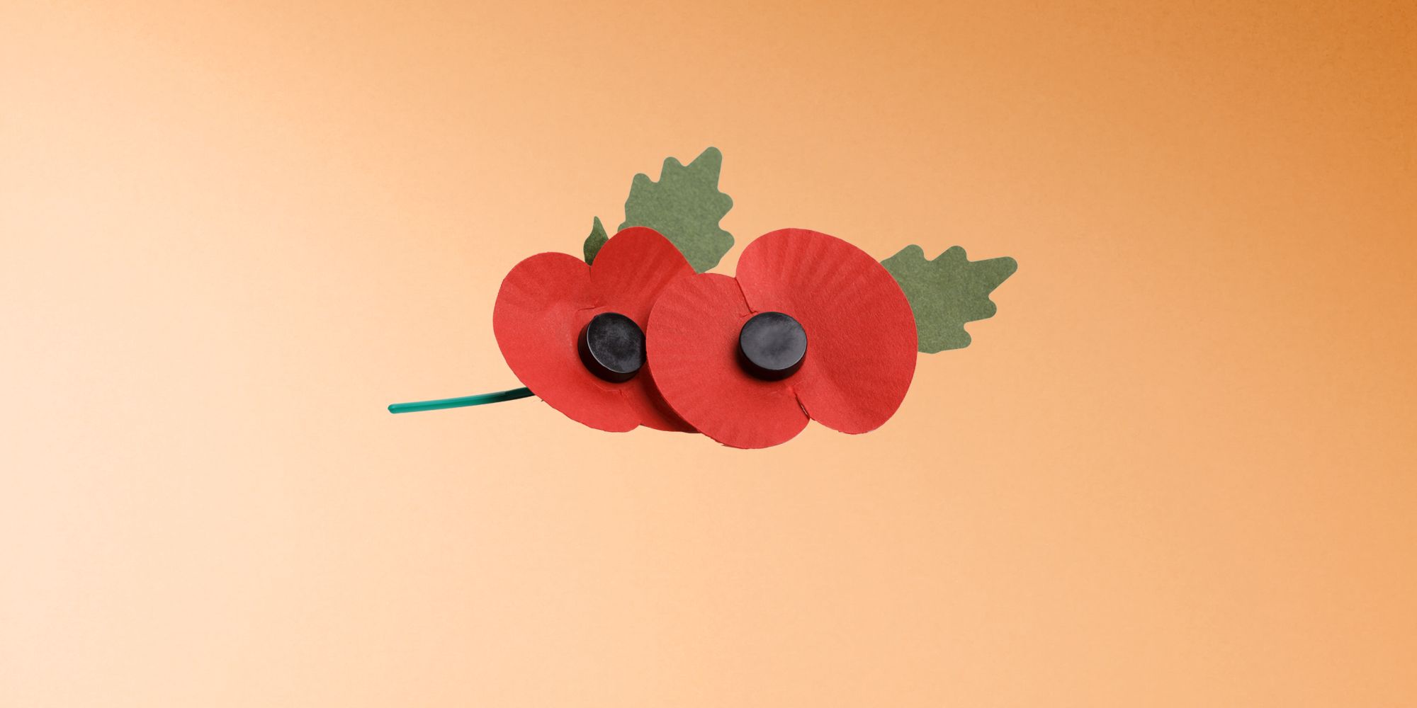 buy remembrance poppy online