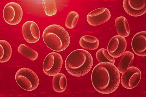 3d rendering microscopic illustration of red blood cell background