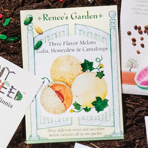 renee’s garden seed packet