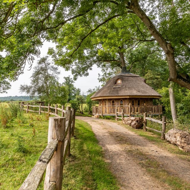 rent this treehouse in worcestershire