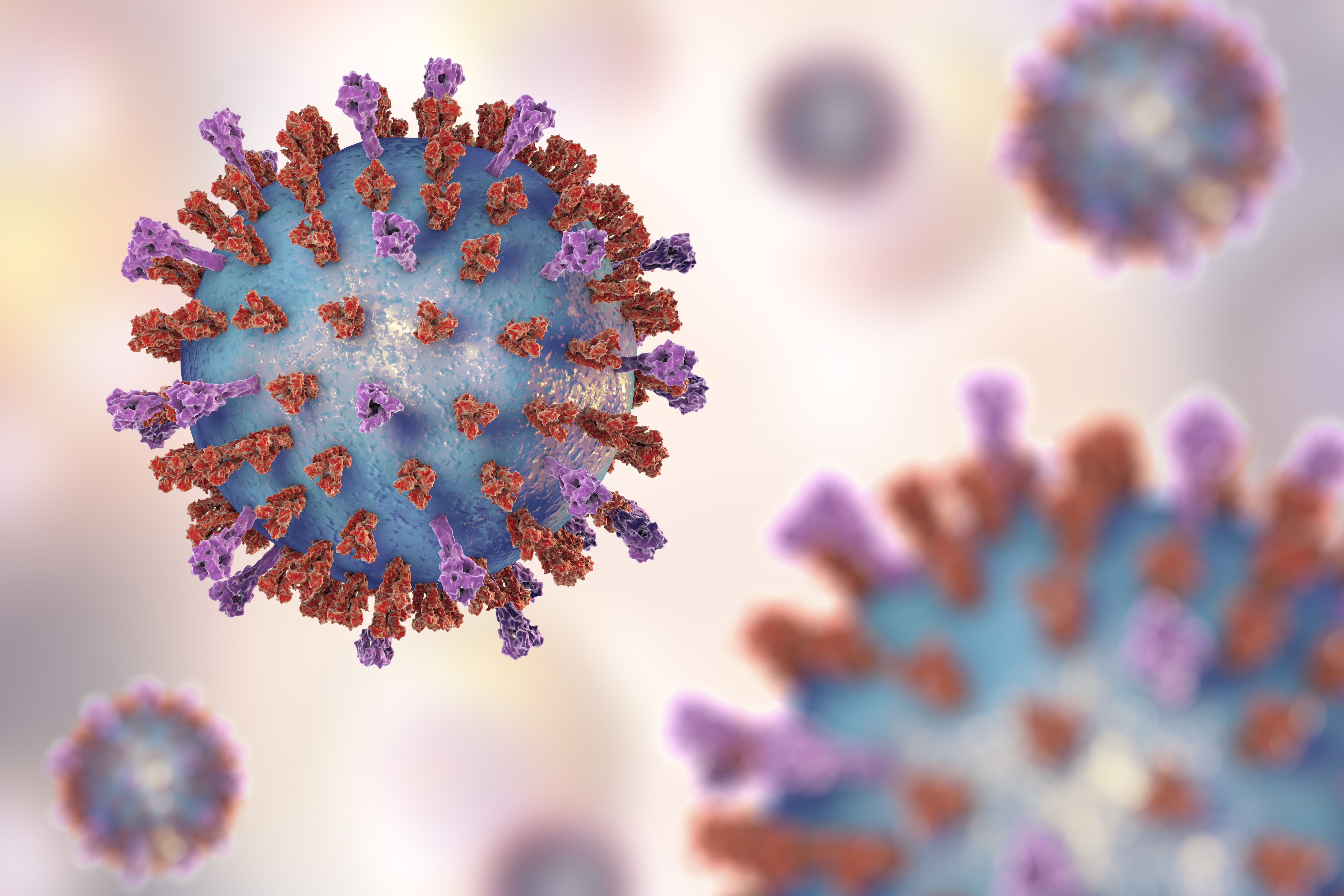 新型コロナ対策も要因 感染拡大中の Rsウイルス に要注意
