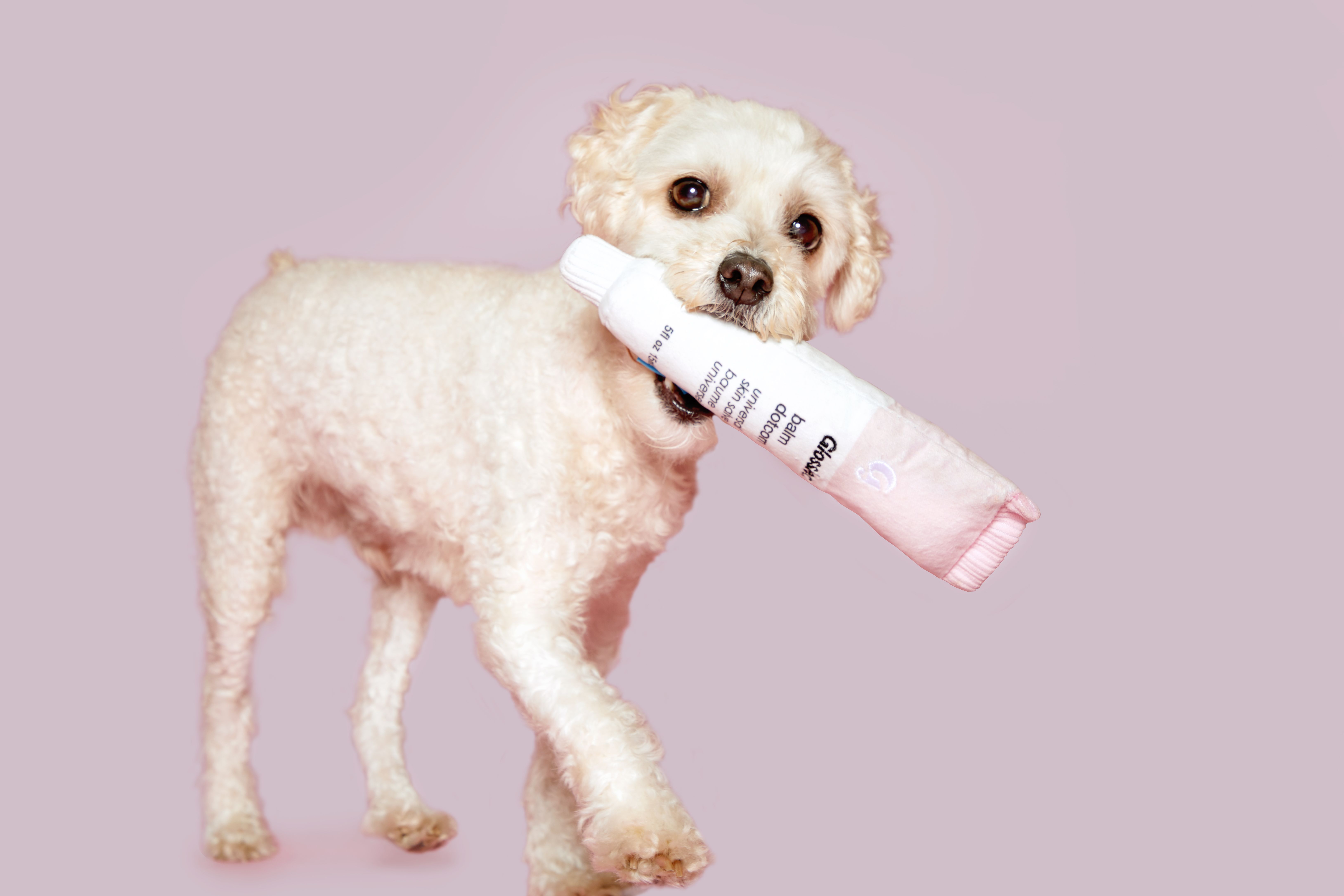 bark glossier