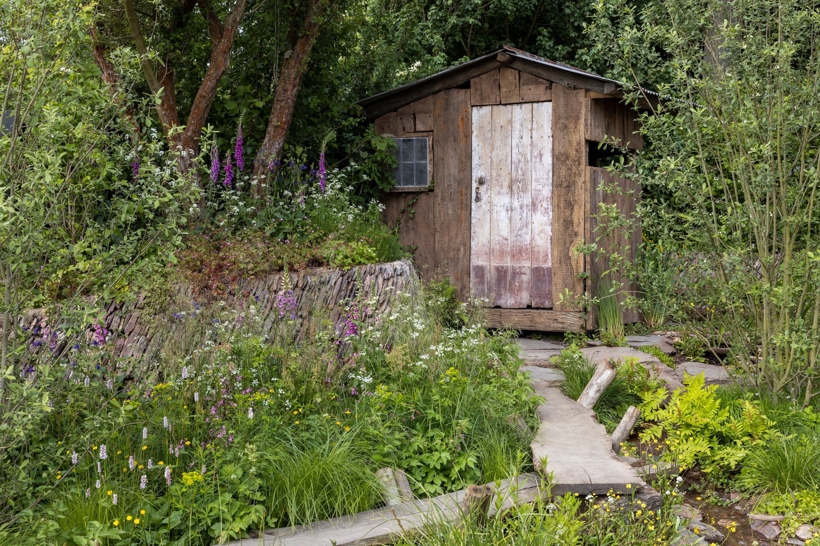 Chelsea Flower Show: Monty Don says 'two things bother him' about the Rewilding Britain Landscape garden