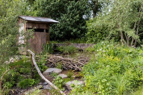 a rewilding britain landscape designed by lulu urquhart and adam hunt sponsored by project giving back in support of rewilding britain show garden rhs chelsea flower show 2022