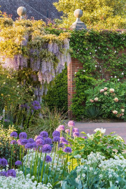 Rhs Wisley Gardens To Reopen On Tuesday After Water Main Fault