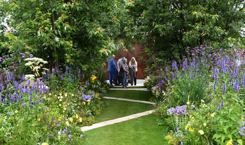 london, england july 04 general view at the launch of the rhs hampton court flower show at hampton court palace on july 4, 2016 in london, england photo by stuart c wilsongetty images