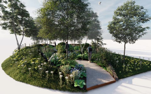 rhs forest bathing garden, rhs feature garden, designed by dave green, rhs hampton court palace garden festival 2022