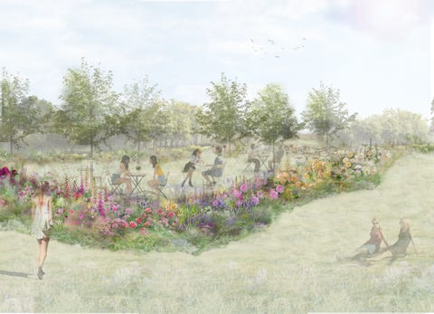 rose tea garden, rhs feature garden, designed by pollyanna wilkinson, rhs hampton court palace garden festival 2022