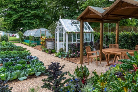 RHS Hampton: How To Grow Your Own No Dig Allotment Garden