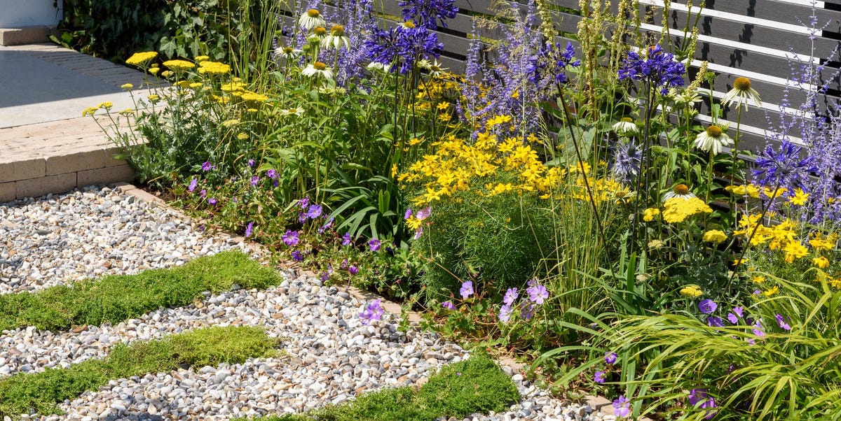 RHS Flower Show Tatton Park 2022 Garden Winners