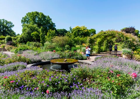 RHS Wisley best trees for small gardens