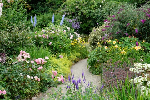 10+ DIY Garden Path Ideas - How to Make a Garden Walkway