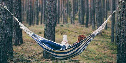Hammock, Natural environment, Leaf, Forest, Sunlight, People in nature, Woodland, Nature reserve, Biome, Old-growth forest, 