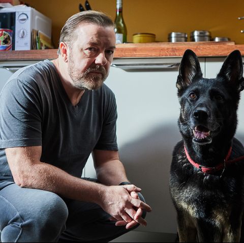 ricky gervais in after life netflix