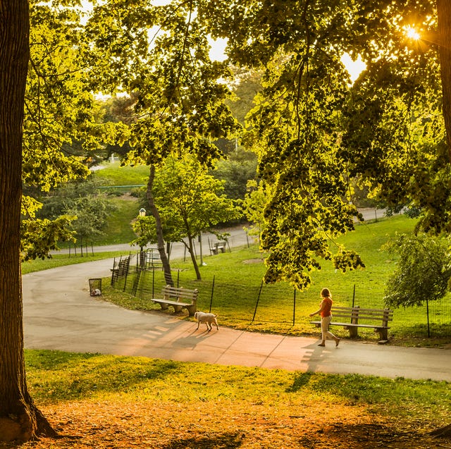 riverside park in manhattan